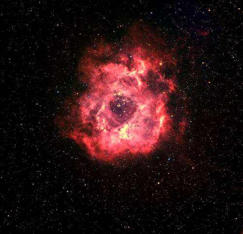 Rosette